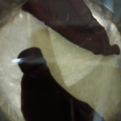 Langkah 1
