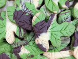 Galletas de hojas de temporada con baya Orujo 🍁