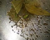 A picture of step 3 of Shahi bottle gourd korma.