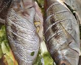 Foto langkah ke 2 dari resep Ikan Kakap Merah Masak Steam.