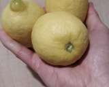 Foto del paso 1 de la receta: Gelatina de limón