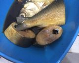 Foto langkah ke 1 dari resep Pindang bandeng kecap.
