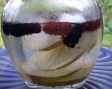 Foto langkah ke 2 dari resep Infused Water Lemon Murbey.