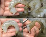 รูปขั้นตอนการทำที่ 1 ของ ต้มยำกุ้งน้ำข้น