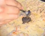 Foto del paso 4 de la receta: Pasta alla norcina y trufa 🥓🧀 (salchichas y trufa)