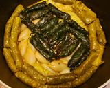 A picture of step 3 of Dolma (famous Iraqi recipe).