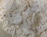 A picture of step 1 of Crispy chicken burger kfc style.