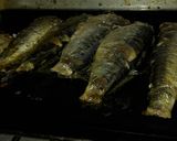 Foto del paso 2 de la receta: Conserva sardinas horneadas (anda para todo pescado)