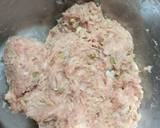 Pork Shaomai with Scallop recipe step 5 photo