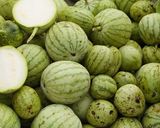 Hình bước làm 5 của món Canh dưa hấu non