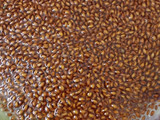 Halim kheer(garden cress seeds)