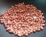 शेंगदाणा लाडू (Shegdana Ladoo Recipe In Marathi) रेसिपी स्टेप 1 फोटो 