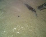 Foto del paso 1 de la receta: Paletas de arroz con leche!!