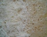 Foto langkah ke 9 dari resep Martabak Keju.