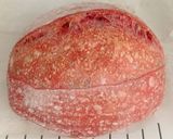 Foto langkah ke 24 dari resep Blue Spirulina Angkak Sourdough Bread (Oven Tangkring).