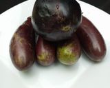 Egg plant swallowmatakin girki1 hoto