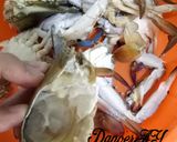 Foto langkah ke 2 dari resep Kepiting / Rajungan lada hitam.