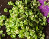 Foto langkah ke 3 dari resep Pencok Kacang Panjang.