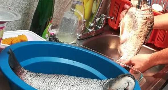 Como hacer Bocachico Al Horno Relleno De Verduras | Cocinar en casa