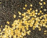 A picture of step 1 of Dal makhni.
