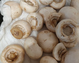 Foto del paso 1 de la receta: Champiñones sabrosos
