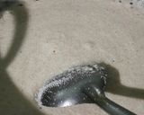 A picture of step 7 of Suji Barfi.