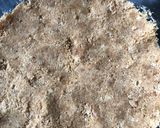 A picture of step 1 of Chocolate pie.