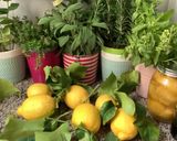 Une image de l'étape 1 de Virgin Mojito citron menthe fraiche.