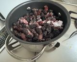 A picture of step 3 of Mulberry Jam (from my garden).