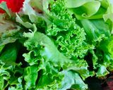 Hình bước làm 4 của món Cá sòng luộc cạn cuốn bánh tráng chấm mắm tôm