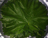 عکس مرحله 3 از دستور نگهداری برگ مو واسه زمستون🍀🍁