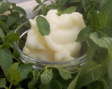 Foto del paso 8 de la receta: Helado de melón dulce (Thermomix)
