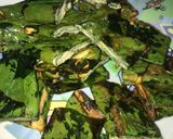 A picture of step 5 of Arvi leaf.