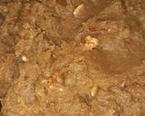 A picture of step 5 of Shahi Beson Halwa.