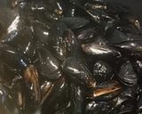 A picture of step 3 of Brandy, garlic and butter mussels.