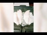 Nasi Super Tabah Ikan Nila Panggang Kecap Penyayang 🙏🏻😇🤍👍🏻