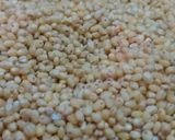A picture of step 1 of Proso Millet Pulav / Khichdi.