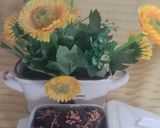 Foto langkah ke 8 dari resep Brownies crunchy.