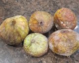લીલા અંજીર કાજુ જ્યુસ(Fig and kaju Juice In Gujarati) રેસીપી સ્ટેપ1ફોટો