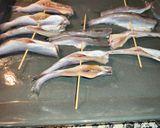 Foto del paso 3 de la receta: Espetos de bacaladillas