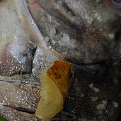 Langkah 1