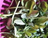 मेथी आलू सेम सब्ज़ी(Methi aloo sem sabzi recipe in Hindi) रेसिपी चरण 1 फोटो