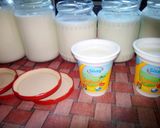 Laktózmentes gyümölcsös joghurt házilag recept fázis 1 fotója
