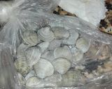Foto del paso 2 de la receta Gazpachuelo malagueño con merluza