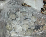 Foto del paso 2 de la receta: Gazpachuelo malagueño con merluza