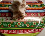 Foto del passaggio 25 della ricetta Albero a Stella di tramezzini 🎄⭐