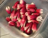 Une image de l'étape 2 de Salade de tomates,scarole,céleri et thon aux radis « fleurs ».