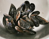 Foto del paso 1 de la receta: Mejillones al Pimentón (Tiberios)