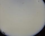 A picture of step 1 of Carrot delight.
