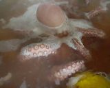 Foto del paso 2 de la receta: Pulpo a la gallega 